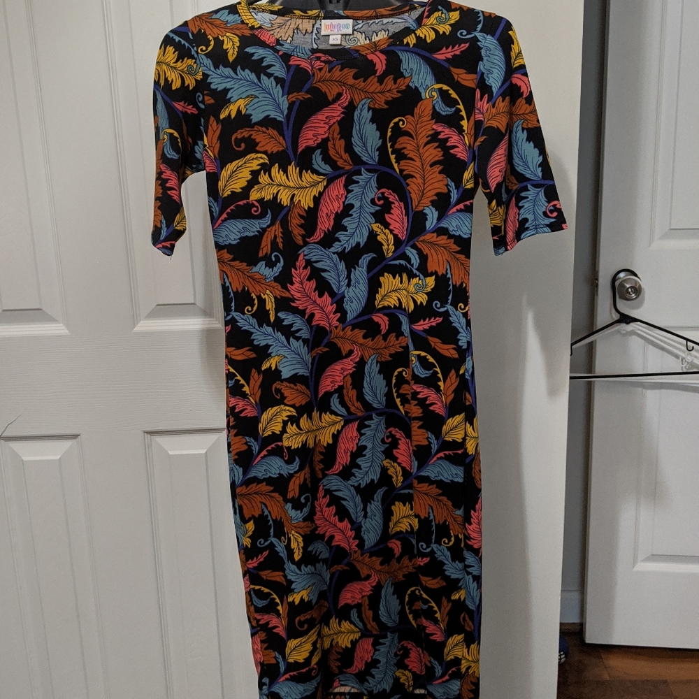 LulaRoe XS dress